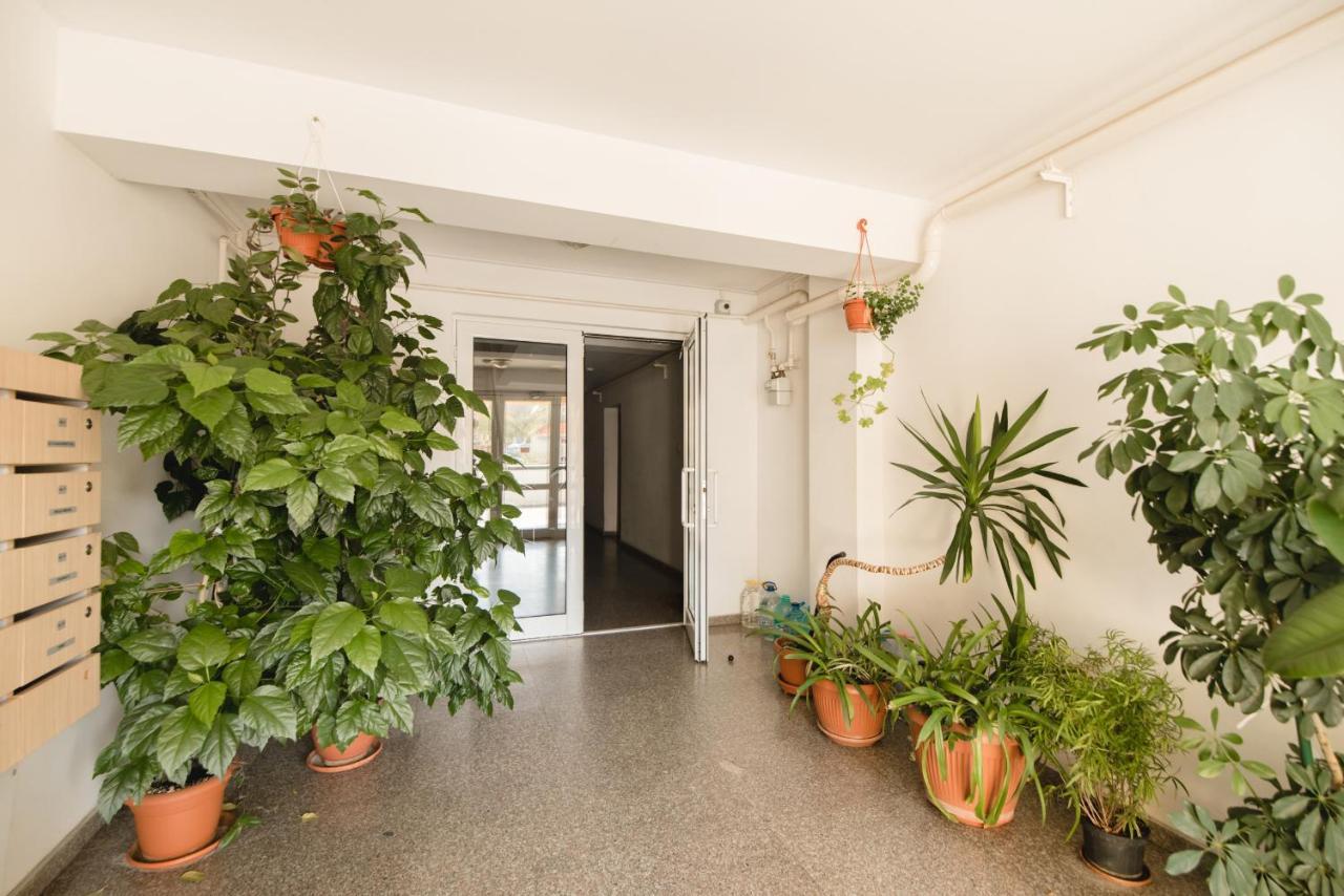 Oltului Apartment Brașov Exterior foto